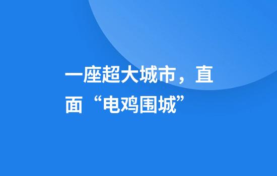 一座超大城市，直面“电鸡围城”