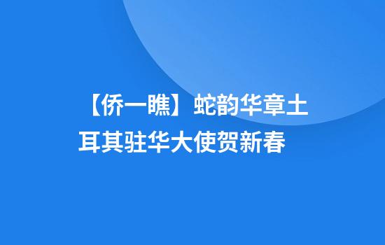 【侨一瞧】蛇韵华章土耳其驻华大使贺新春