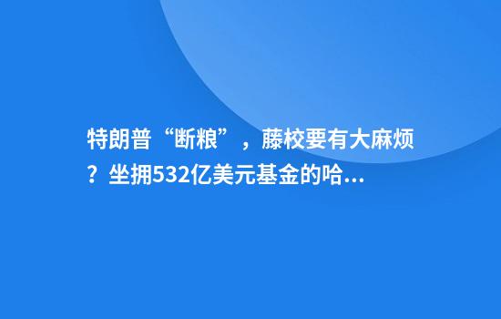 特朗普“断粮”，藤校要有大麻烦？坐拥532亿美元基金的哈佛，被22亿美元拨款逼急了！耶鲁大学直接85折甩卖资产套现