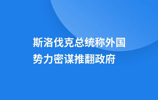 斯洛伐克总统称外国势力密谋推翻政府