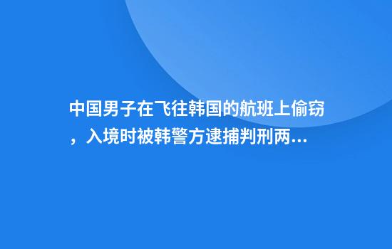 中国男子在飞往韩国的航班上偷窃，入境时被韩警方逮捕判刑两年多