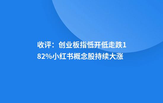 收评：创业板指低开低走跌1.82%小红书概念股持续大涨