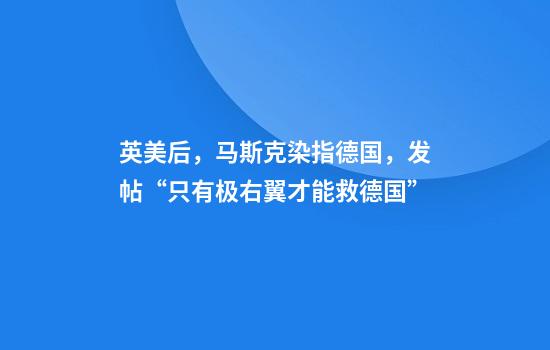 英美后，马斯克染指德国，发帖“只有极右翼才能救德国”