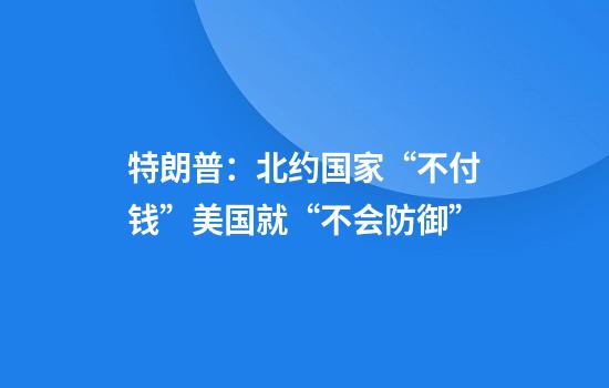 特朗普：北约国家“不付钱”美国就“不会防御”