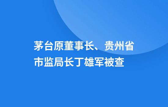 茅台原董事长、贵州省市监局长丁雄军被查
