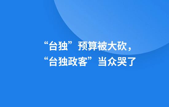 “台独”预算被大砍，“台独政客”当众哭了