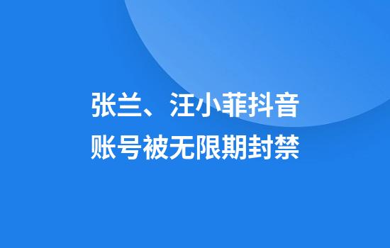 张兰、汪小菲抖音账号被无限期封禁