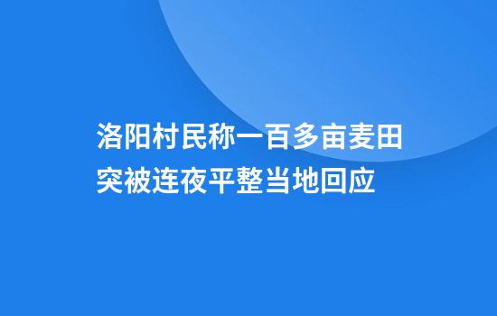 洛阳村民称一百多亩麦田突被连夜平整当地回应