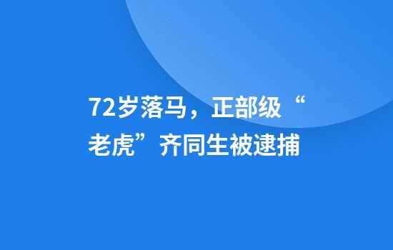 72岁落马，正部级“老虎”齐同生被逮捕
