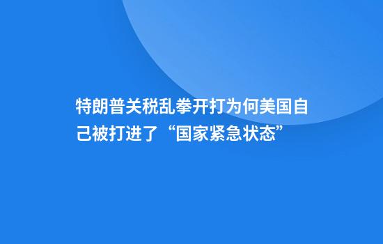 特朗普关税乱拳开打为何美国自己被打进了“国家紧急状态”