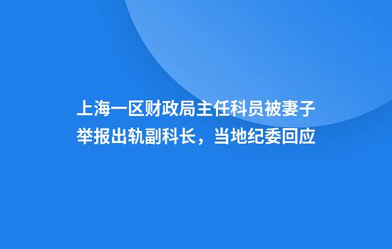 上海一区财政局主任科员被妻子举报出轨副科长，当地纪委回应
