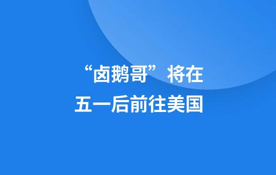 “卤鹅哥”将在五一后前往美国