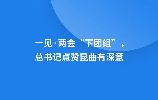 一见·两会“下团组”，总书记点赞昆曲有深意