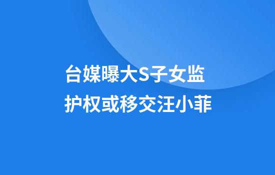 台媒曝大S子女监护权或移交汪小菲