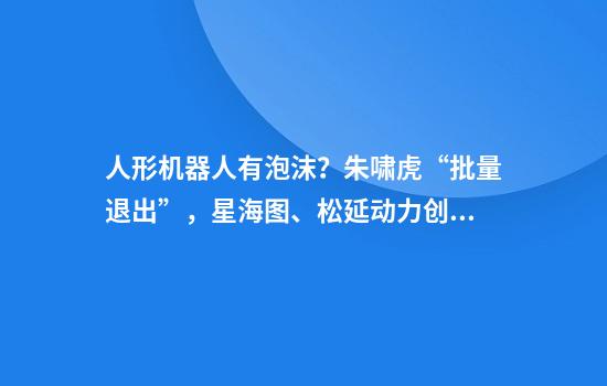 人形机器人有泡沫？朱啸虎“批量退出”，星海图、松延动力创始人接连回应