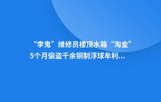 “李鬼”维修员楼顶水箱“淘金”5个月偷盗千余铜制浮球牟利10万元