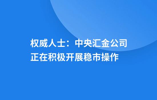 权威人士：中央汇金公司正在积极开展稳市操作