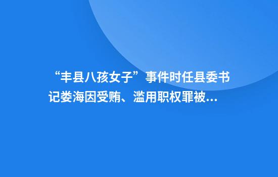 “丰县八孩女子”事件时任县委书记娄海因受贿、滥用职权罪被判12年