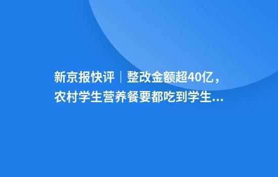 新京报快评｜整改金额超40亿，农村学生营养餐要都吃到学生嘴里