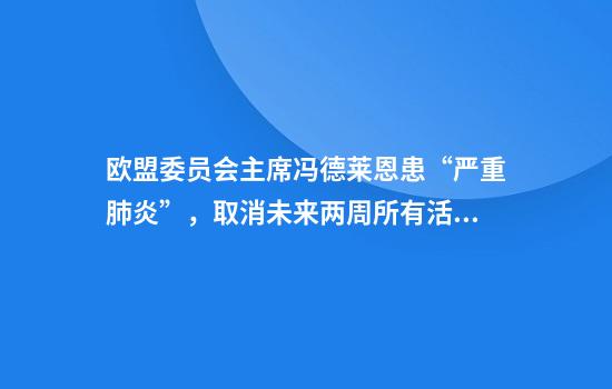 欧盟委员会主席冯德莱恩患“严重肺炎”，取消未来两周所有活动
