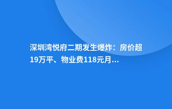 深圳湾悦府二期发生爆炸：房价超19万平、物业费11.8元月平