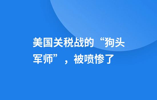 美国关税战的“狗头军师”，被喷惨了