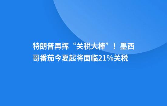 特朗普再挥“关税大棒”！墨西哥番茄今夏起将面临21%关税