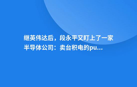 继英伟达后，段永平又盯上了一家半导体公司：卖台积电的put
