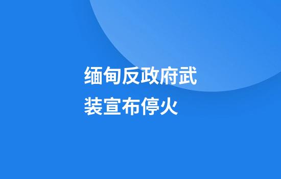 缅甸反政府武装宣布停火