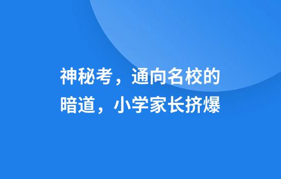 神秘考，通向名校的暗道，小学家长挤爆