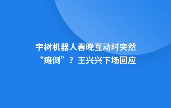 宇树机器人春晚互动时突然“瘫倒”？王兴兴下场回应