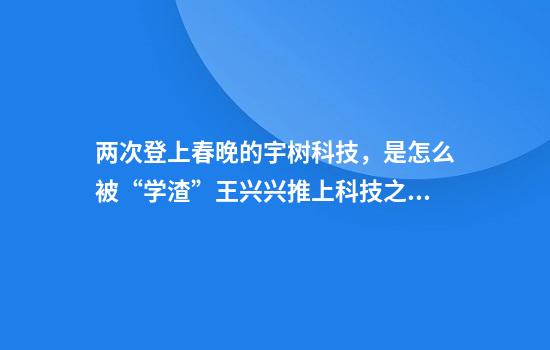 两次登上春晚的宇树科技，是怎么被“学渣”王兴兴推上科技之巅的？