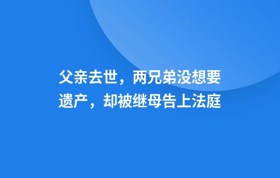 父亲去世，两兄弟没想要遗产，却被继母告上法庭