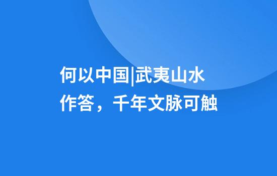 何以中国|武夷山水作答，千年文脉可触