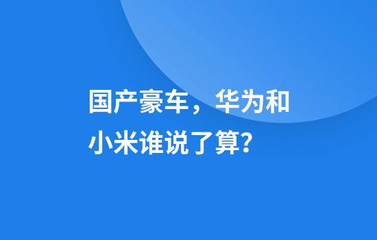国产豪车，华为和小米谁说了算？