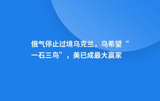 俄气停止过境乌克兰，乌希望“一石三鸟”，美已成最大赢家