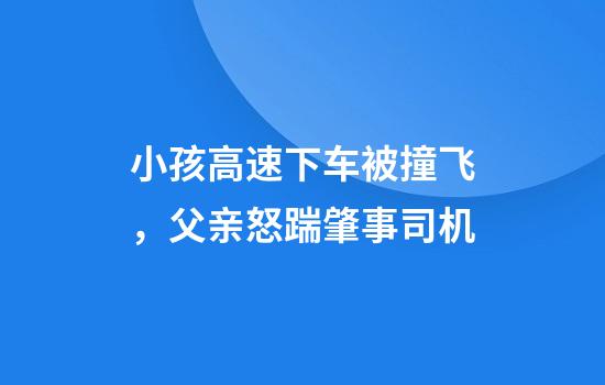小孩高速下车被撞飞，父亲怒踹肇事司机