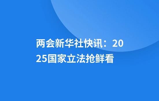两会新华社快讯：2025国家立法抢鲜看
