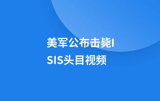 美军公布击毙ISIS头目视频