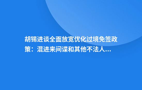 胡锡进谈全面放宽优化过境免签政策：混进来间谍和其他不法人员怎么办？