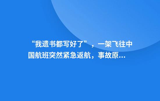 “我遗书都写好了”，一架飞往中国航班突然紧急返航，事故原因查明
