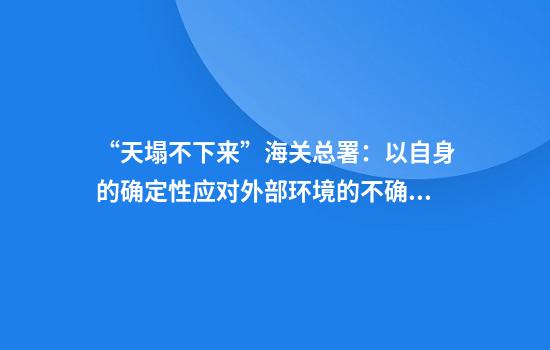“天塌不下来”海关总署：以自身的确定性应对外部环境的不确定性
