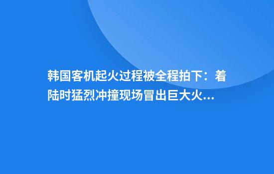 韩国客机起火过程被全程拍下：着陆时猛烈冲撞现场冒出巨大火球
