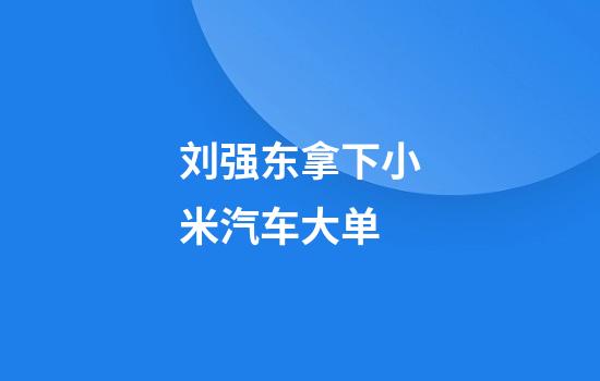 刘强东拿下小米汽车大单