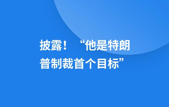 披露！“他是特朗普制裁首个目标”