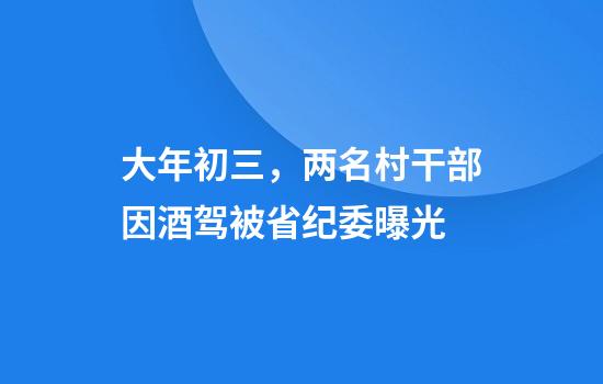 大年初三，两名村干部因酒驾被省纪委曝光