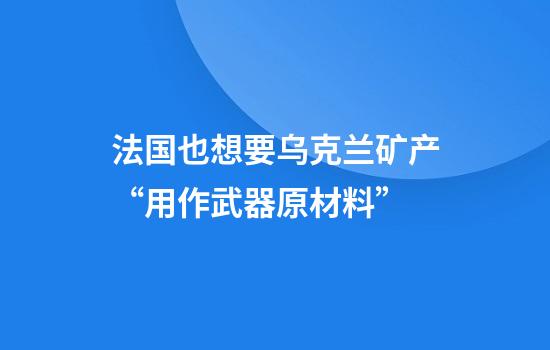 法国也想要乌克兰矿产“用作武器原材料”