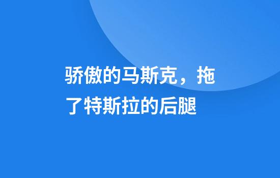 骄傲的马斯克，拖了特斯拉的后腿