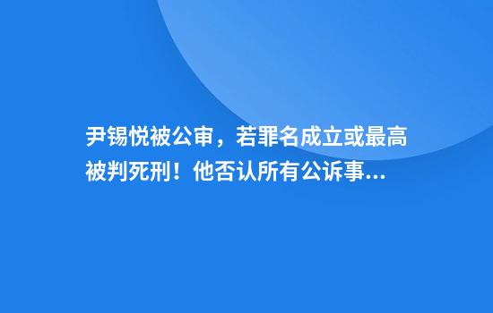 尹锡悦被公审，若罪名成立或最高被判死刑！他否认所有公诉事实，亲自发言反驳！其夫人也面临多项指控