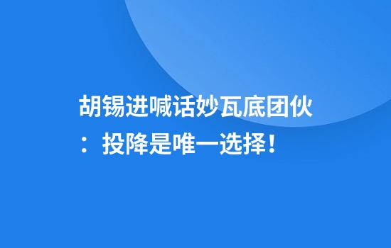 胡锡进喊话妙瓦底团伙：投降是唯一选择！
